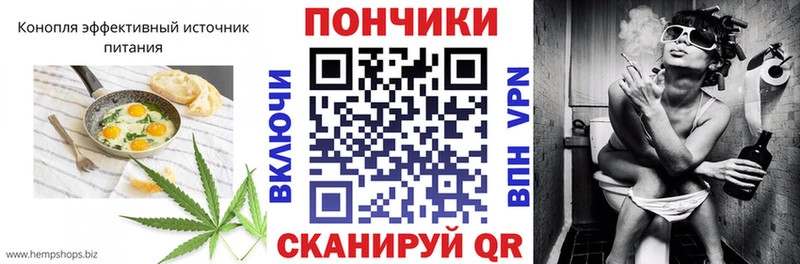 Canna-Cookies марихуана  Шарья 