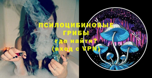 соль ск Сосновка