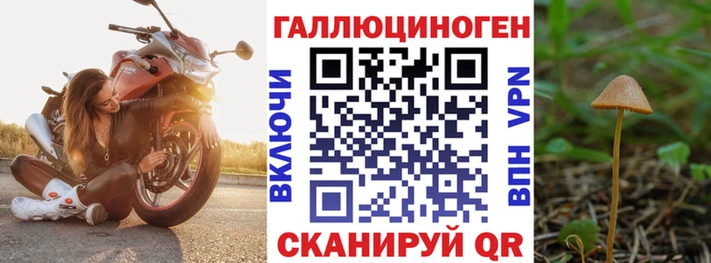 Галлюциногенные грибы мухоморы  хочу наркоту  Шарья 